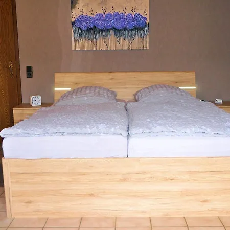 奥登巴赫公寓酒店 度假居 *